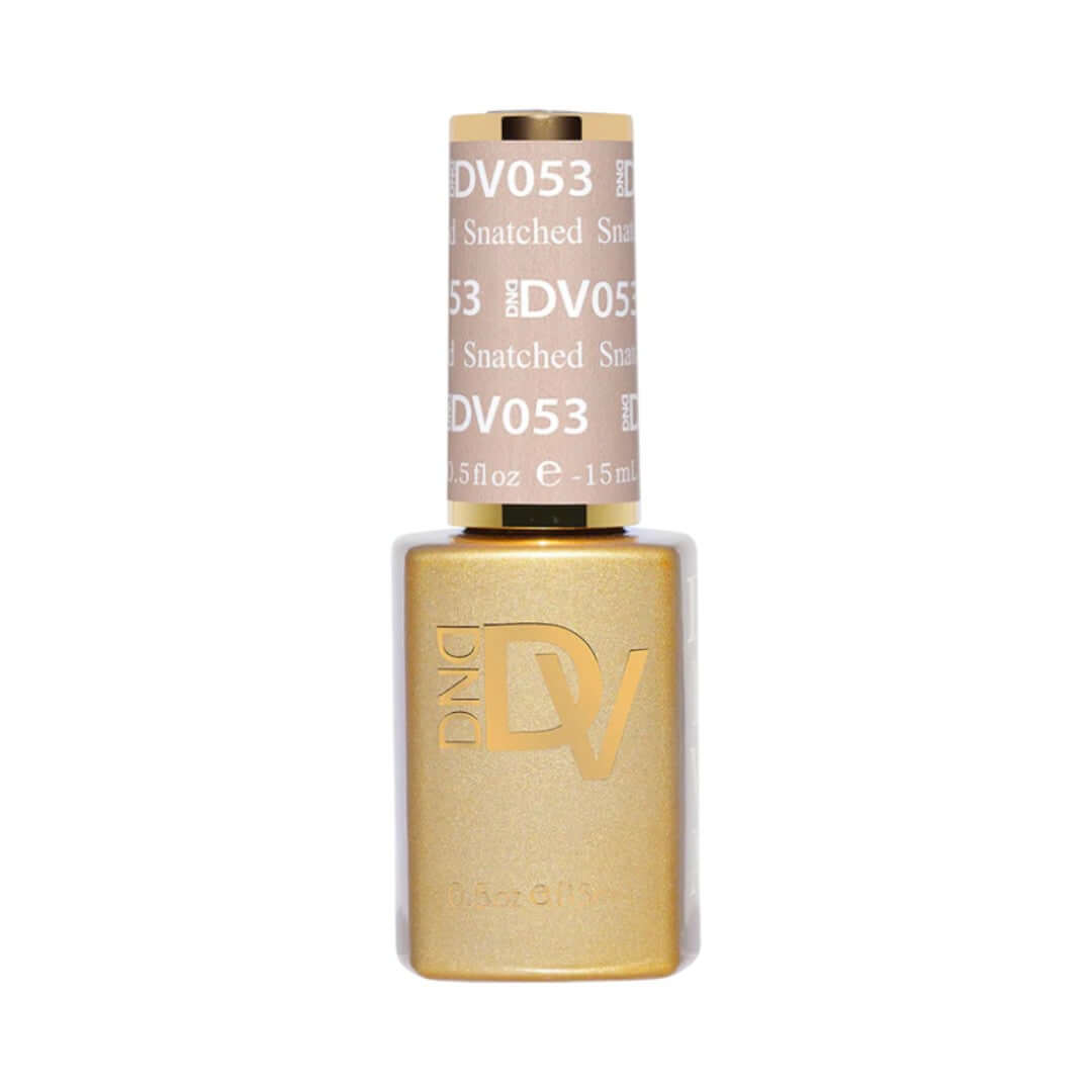 DND-Diva DV053 bị bắt cóc