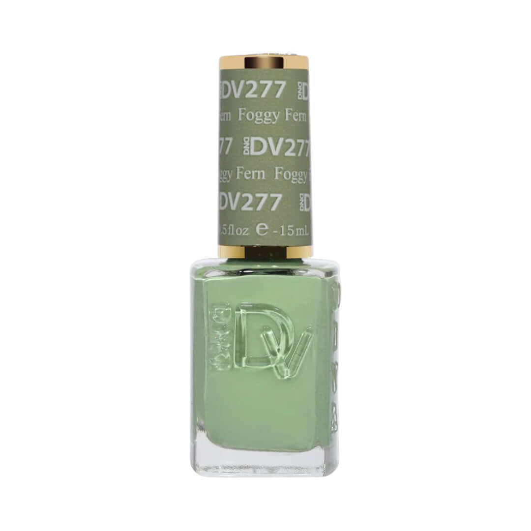 DND-Diva DV277 Cây dương xỉ sương mù