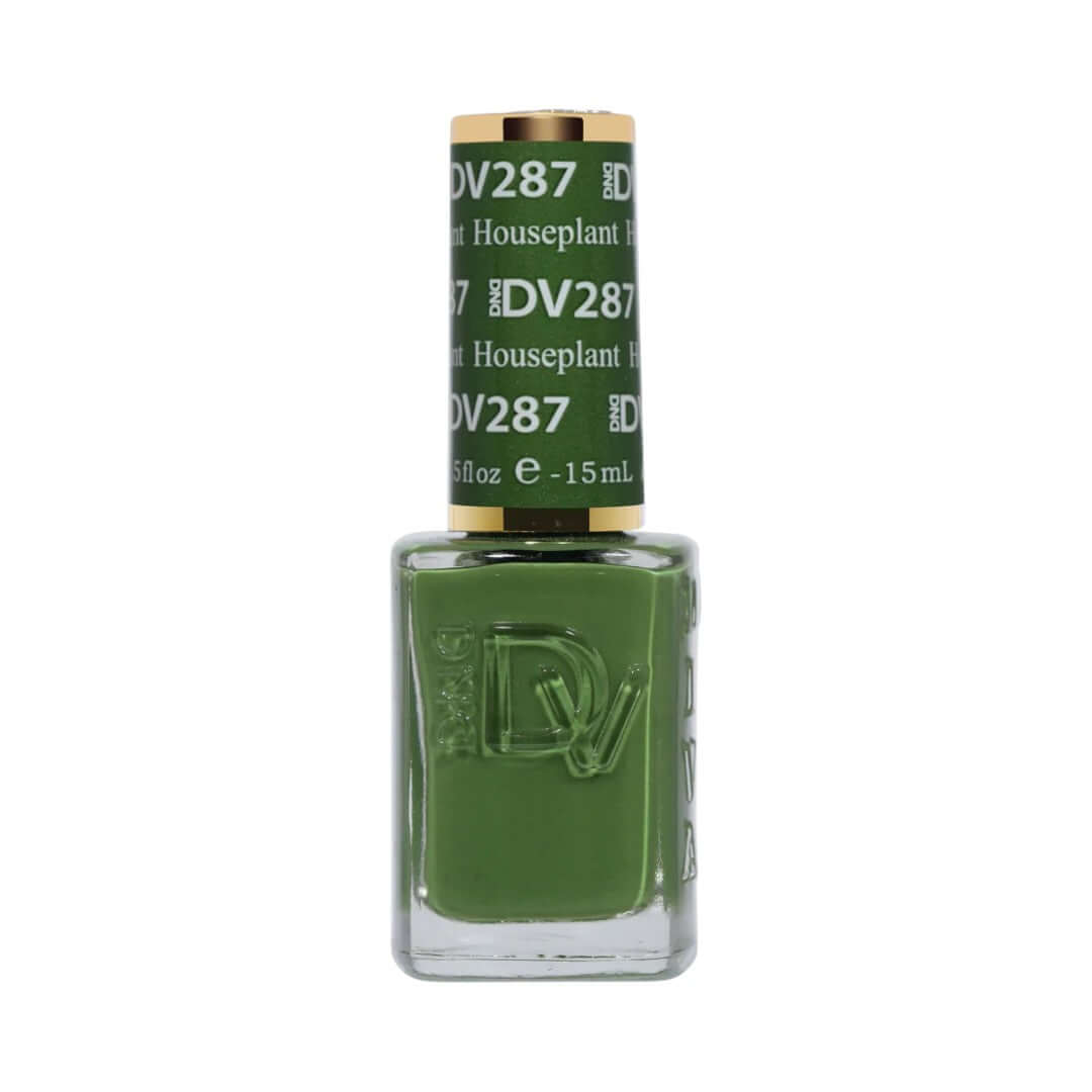 Cây cảnh DND-Diva DV287