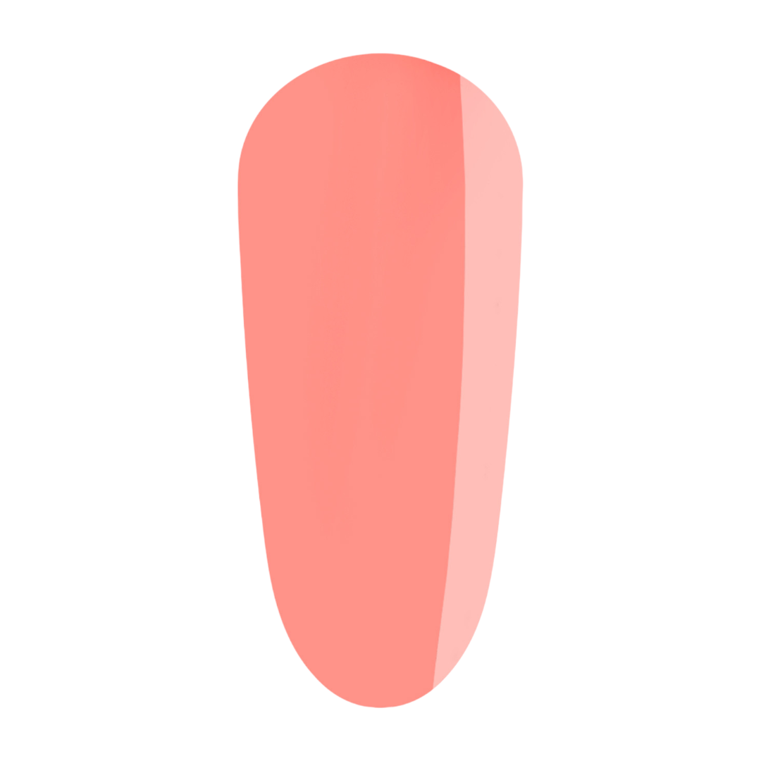 The GelBottle HEMA-FREE Paint - Sprinkles - Gel Polish - The Express Beauty