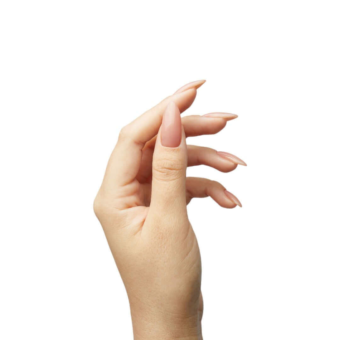 The GelBottle HEMA FREE - Fleur - BIAB | The Express Beauty